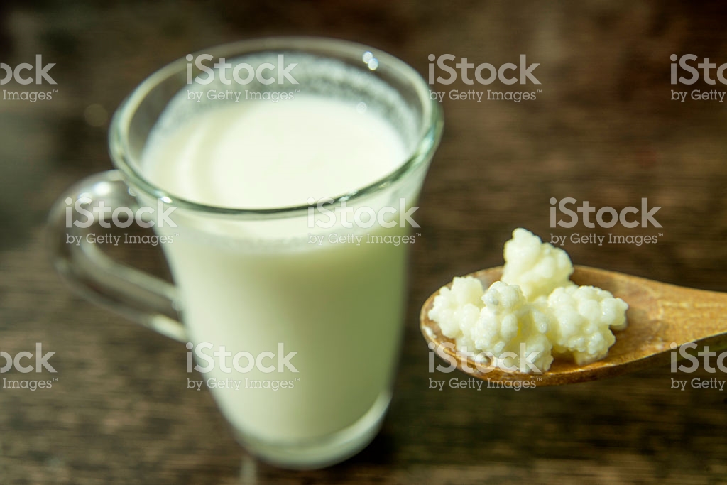 Kefir and grains